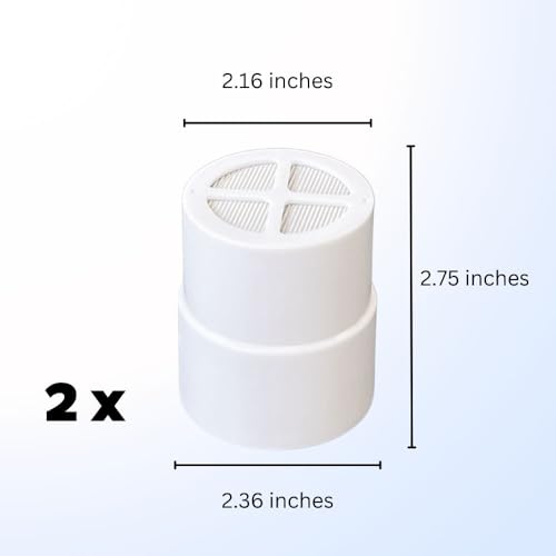 2 Pack Replacement Shower Filter for The Jolie (2 Count)