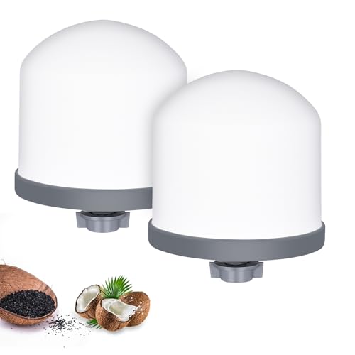Ceramic Dome Water Filter with Coconut Shell Activated Carbon (2 Count)