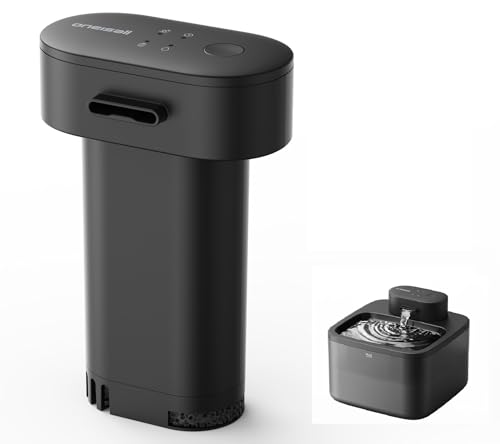 Water Pump Battery Motor