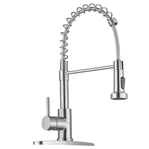 Pull Down Kitchen Faucet