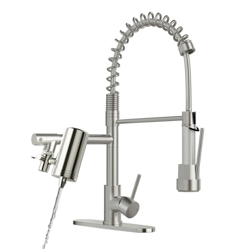 Kitchen Faucet with Water Filter and Pull Down Sprayer