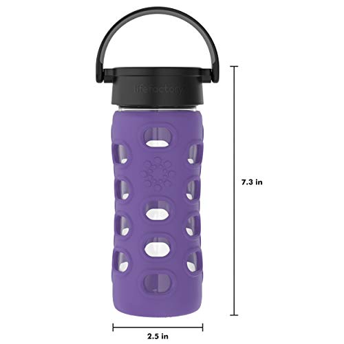12-Ounce BPA-Free Glass Water Bottle with Classic Cap and Protective Silicone Sleeve, Iris