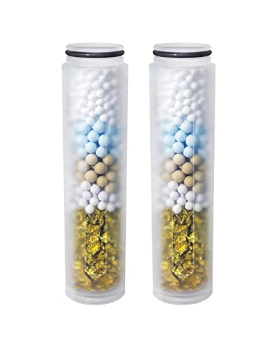 Shower Filter Replacement (2 Count)