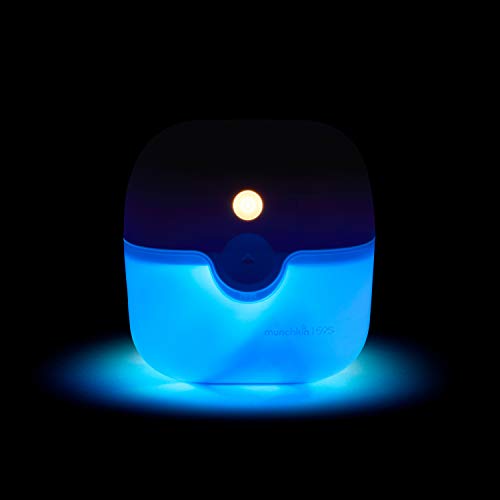 Portable UV Sterilizer Plus with Rechargeable Battery