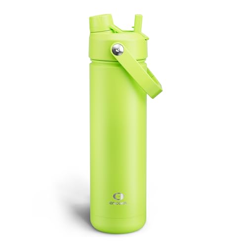 Insulated Water Bottle with Straw Stainless Steel Water Bottle