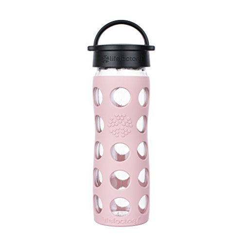 16-Ounce BPA-Free Glass Water Bottle with Classic Cap and Protective Silicone Sleeve, Desert Rose