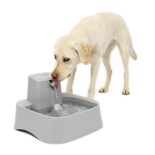 Oasys Pet Fountain
