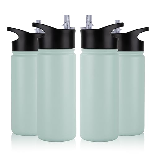 16 oz Insulated Water Bottle Bulk 4 Pack (4 Count)