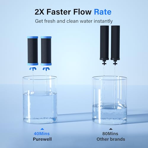 PF-3-PH Black 4-Stage Composite Carbon and Alkaline Filters, Compatible with Berlkey® Big+, ProOne® Big+ Gravity Water Filter Systems and Purewell Systems (2 Pack, K Series) (2 Count)