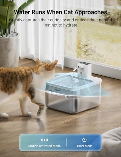 Cat Water Fountain Cordless