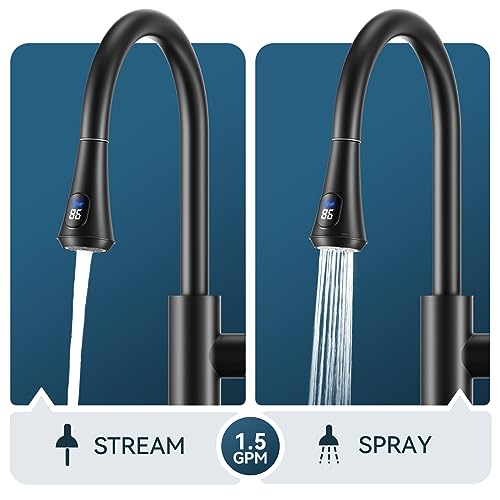 Kitchen Faucet with Temperature Digital Display