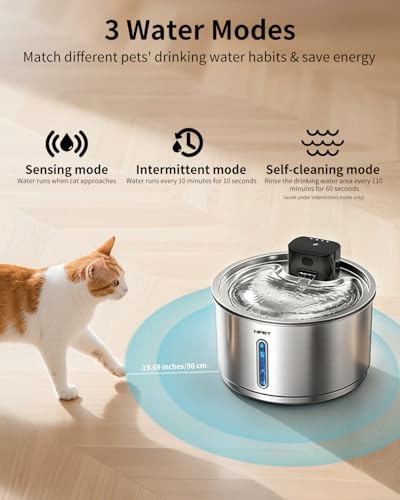 Cordless Cat Water Fountain Stainless Steel