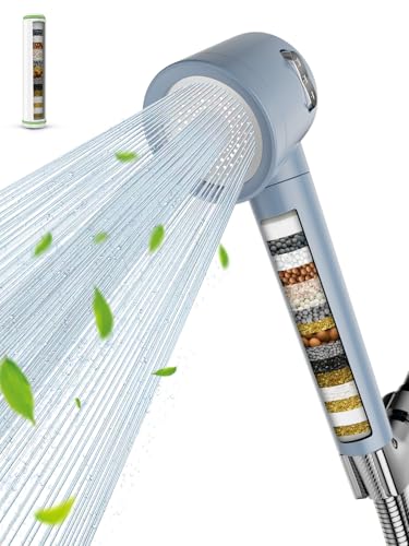 Filtered Shower Head with Handheld