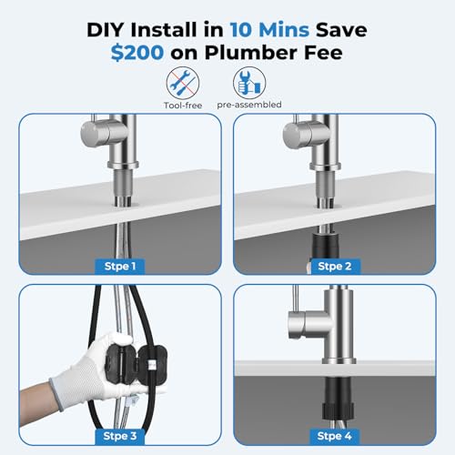Kitchen Faucet with Pull Down Sprayer