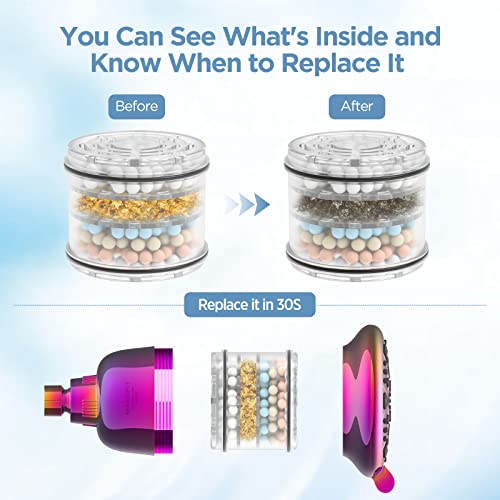 Filtered Shower Head