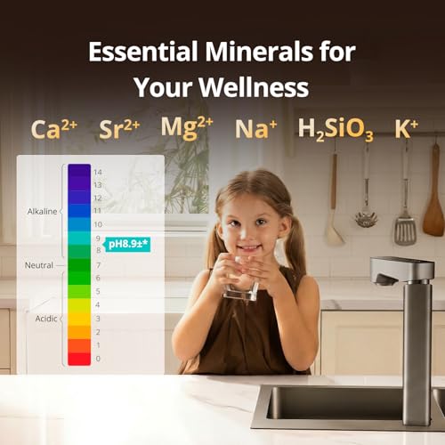 Master M1 1000 GPD Alkaline Mineralized pH+ Reverse Osmosis System