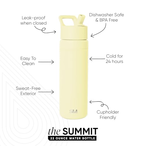 Insulated Water Bottle with Straw
