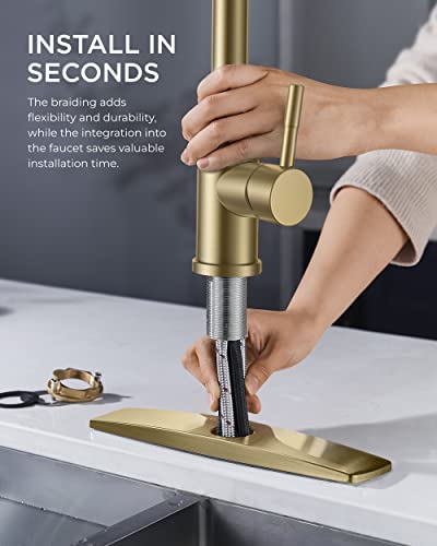 Gold Kitchen Faucet with Pull Down Sprayer