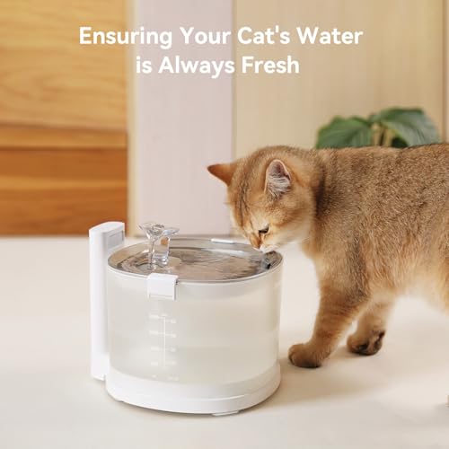 Pumpless Pet Water Elfin Fountain E1