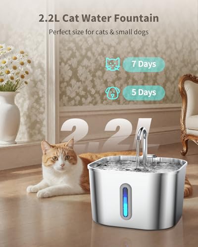 Stainless Steel Cat Water Fountain