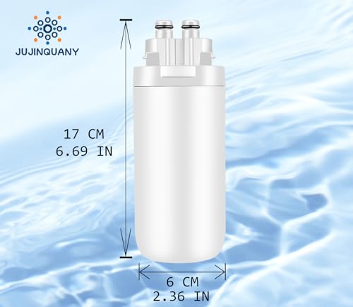 CTO1 Water Filter Replacement (2 Count)