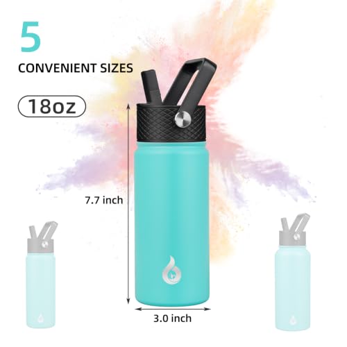 18oz Insulated Water Bottle with Straw Lid
