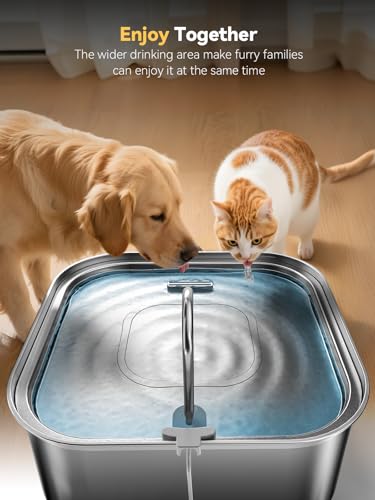Large Dog Water Fountain 14L