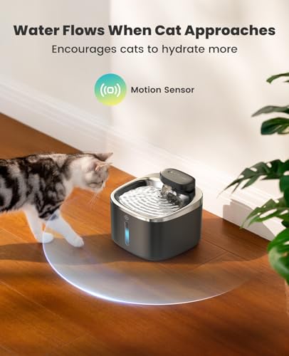 Cat Water Fountain