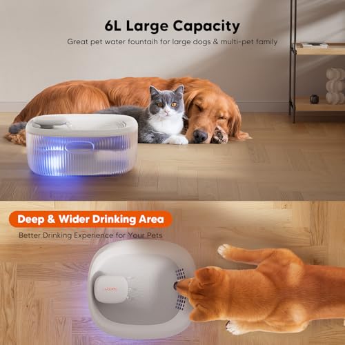 Dog Water Fountain for Large Dogs