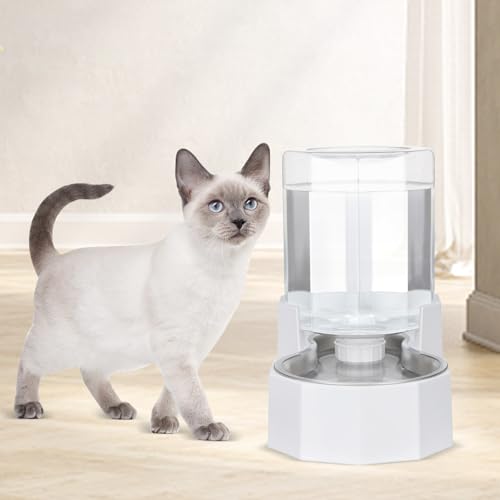 4L Stainless Steel Gravity Water Dispenser