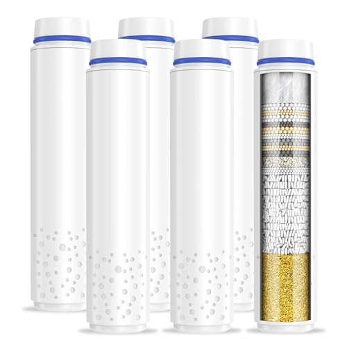 6 Pack Shower Filter for Handheld Shower Head (6 Count)