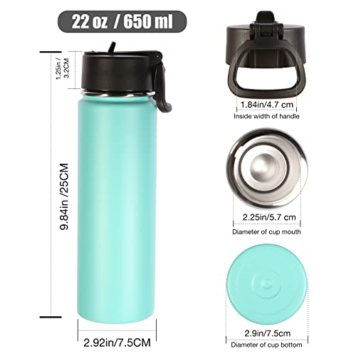 22 oz Insulated Water Bottles with Straw Lid