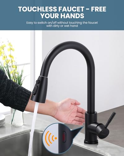 Touchless Kitchen Faucet with Sprayer