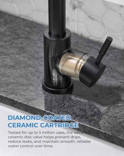 Black Kitchen Faucet with Pull Down Sprayer