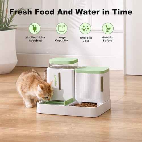 Gravity Cat Feeder and Water Dispenser