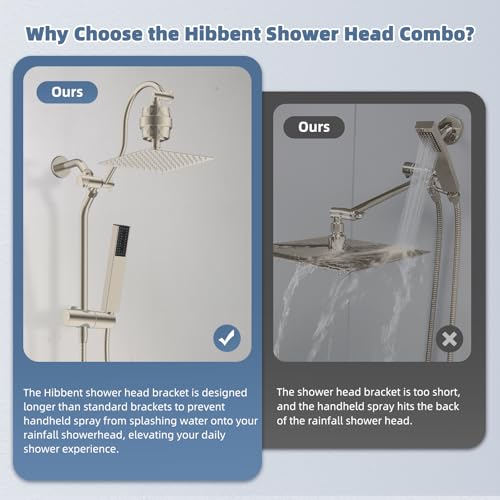 10'' Filtered Showerhead with 4