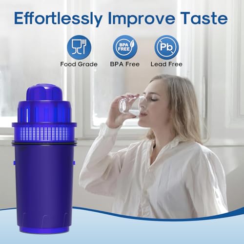 Pitcher Water Filter (6 Count)