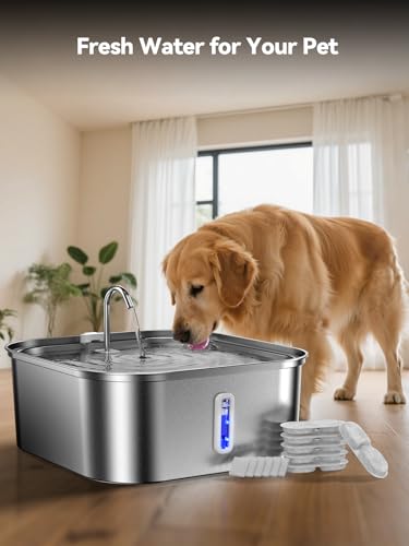 Large Dog Water Fountain 14L (6 Count)