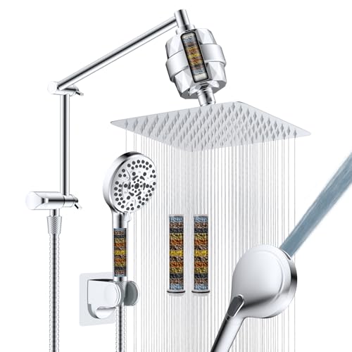 Metal Rain Filtered Shower Head with Handheld
