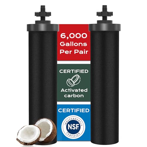 NSF ANSI 42&372 Certified Water Filter (2 Count)