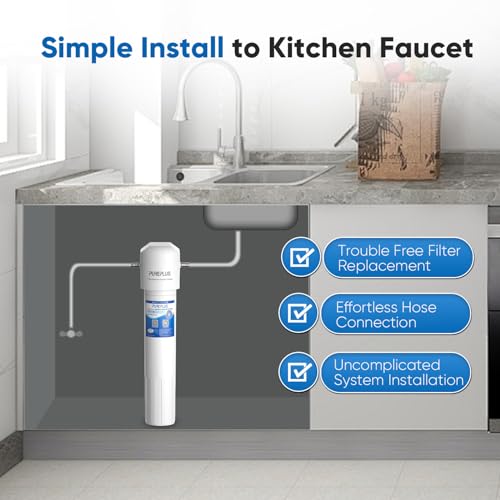 WFS5300A 20 5 Years Under Sink Water Filter System