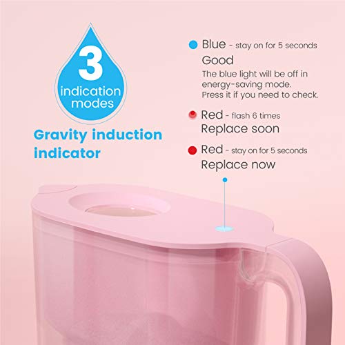 PT 05P Water Filter Pitcher with 4 Filters (2 Count)