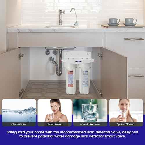 Double Under Sink Arsenic Water Filter