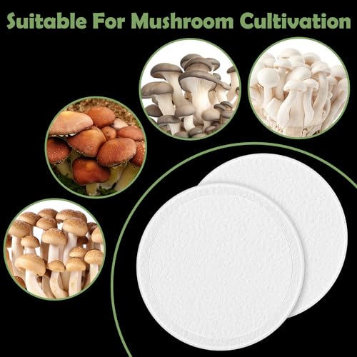 24 Pcs 2.5" Monotub Adhesive Filter Disks