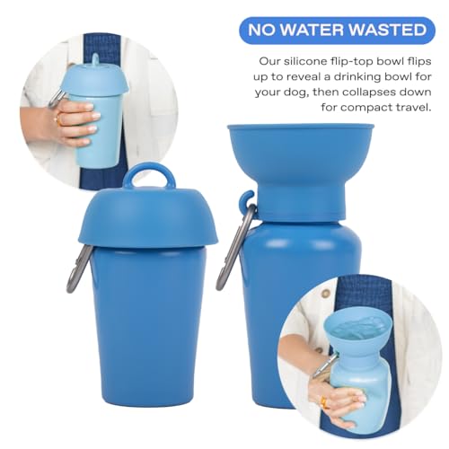Springer Flip Dog Water Bottle