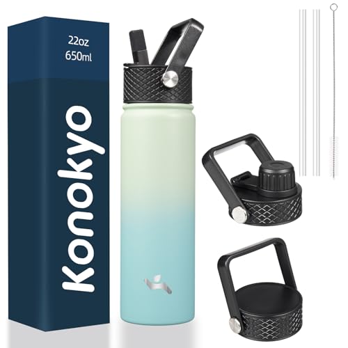 22 oz Insulated Stainless Steel Water Bottle with Straw Lid