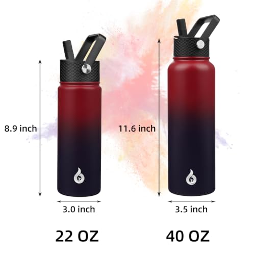 22oz Insulated Water Bottle with Straw Lid