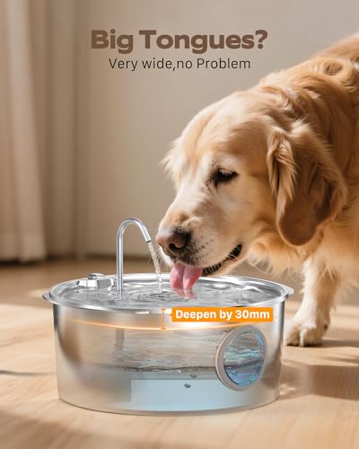 Dog Water Fountain for Large Dogs