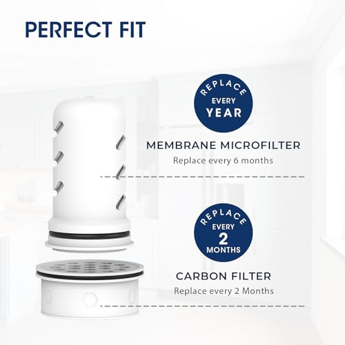 Pitcher Filters Compatible with LifeStraw