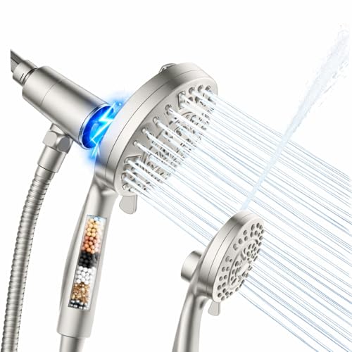 Handheld Shower Head with Filter